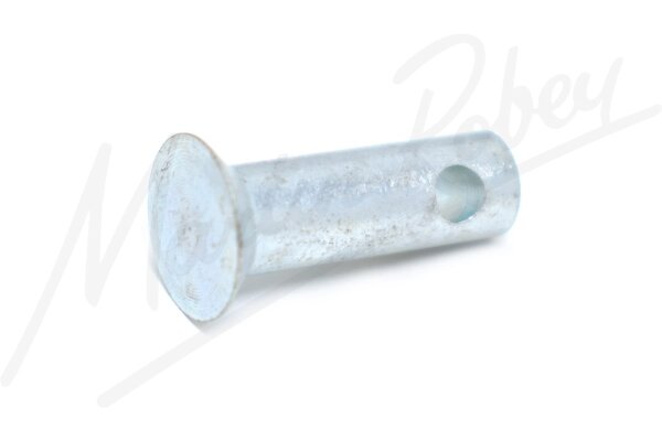 Pin-Anchor Genuine Jaguar