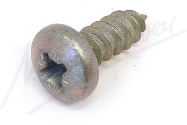 Screw-Self Tappi - Genuine Jaguar