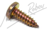 Self Tapping Screw Pozi Pan Head