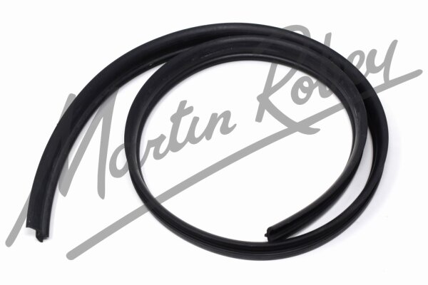 Weather Strip / Door Glass Outer Waist Seal