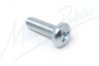 Lamp Lens Screw 10 UNF 5/8 Pozi Panhead Screw E-Type/Saloon