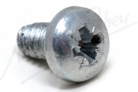Screw