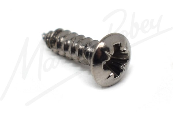 Screw, Self tapping, Securing Striker Plates to Doors