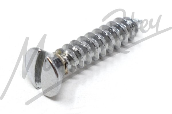 Chrome Slotted Self Tapping Screw for Jaguar E-Type