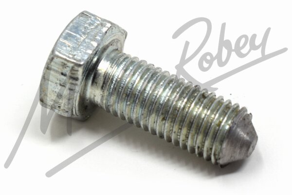 Screw Set, securing Hinges to Body