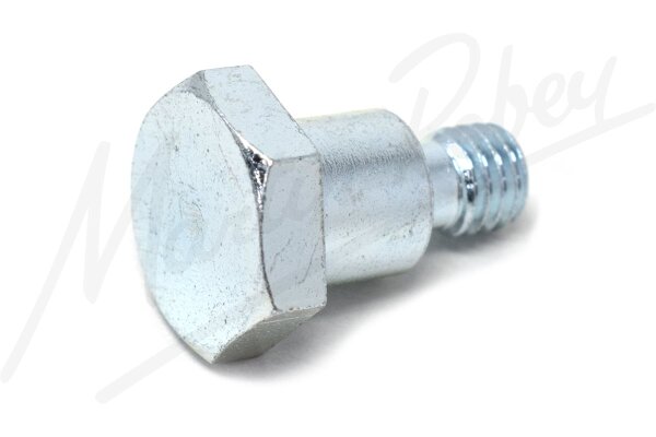 Pivot Bolt