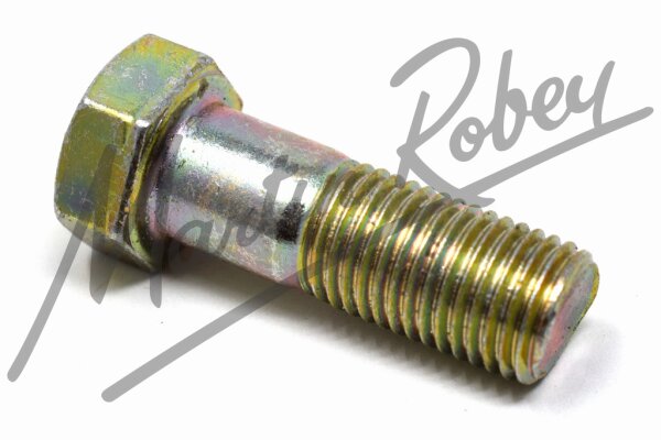 Bolt for Brake Disc