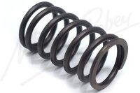 Valve Spring - Genuine Jaguar