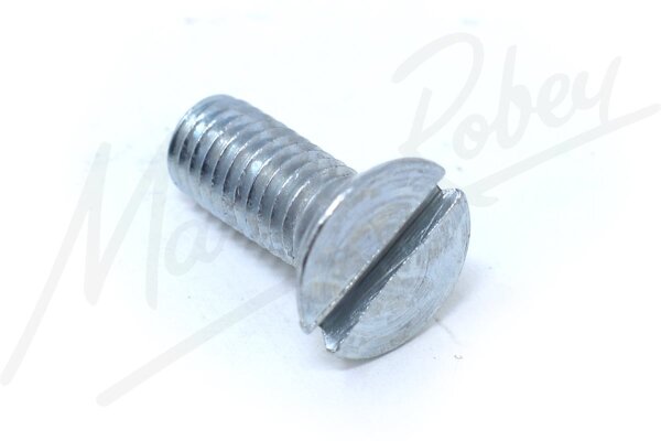 Screw, securing Cantrail Channels to Hood Stick Links