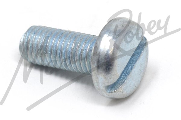 Screw Set, securing Check Arm to Door Hinges