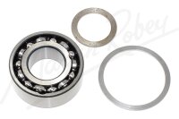 Differential Output Shaft Bearing