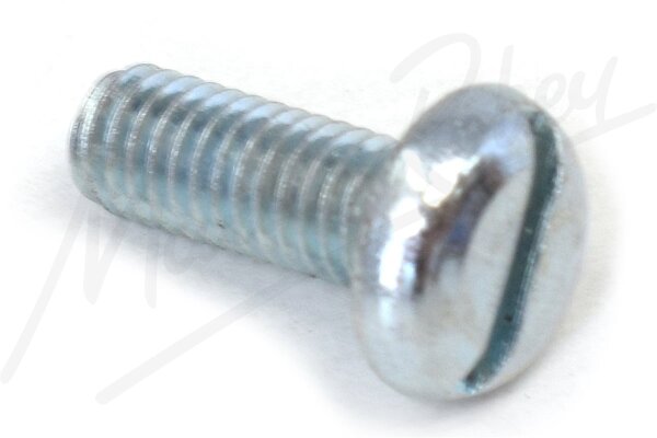 Screw