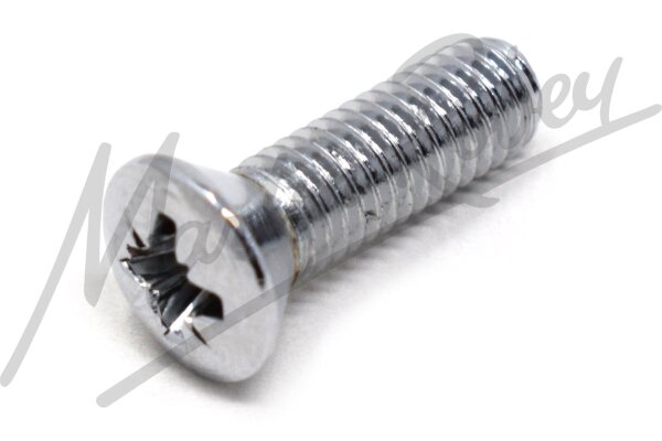 Chrome Pozi Setscrew Securing E-Type Hinge Pillars to Body