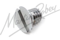1/4 Pillar Screw