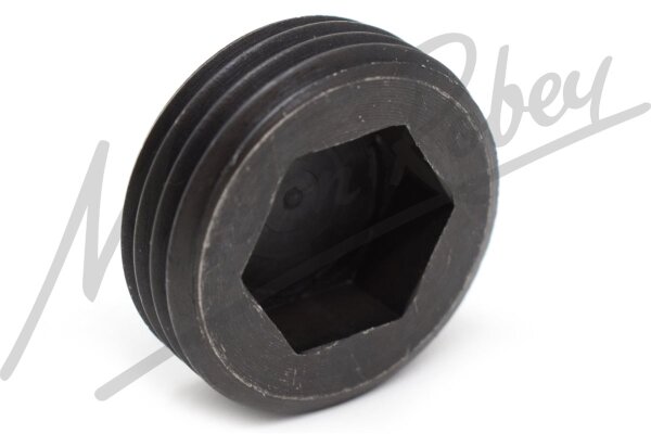 Sludge Plug - Aftermarket