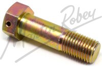 Stub Axle/Caliper Carrier Bolt