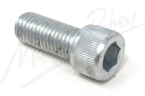 Screw
