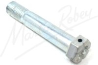 Caliper Bolt
