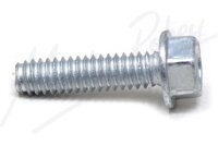 Screw-Taptit
