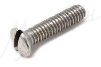 Screw