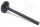 Exhaust Valve