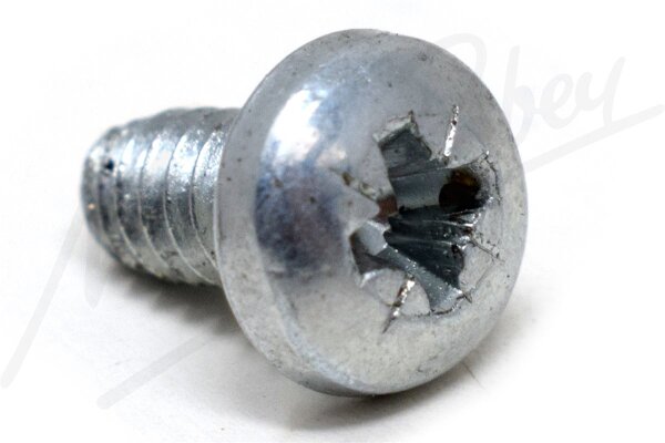 Screw